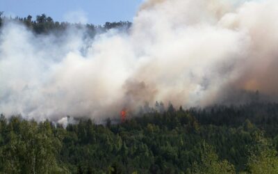 Feux en milieu naturel : prévenir plutôt que subir